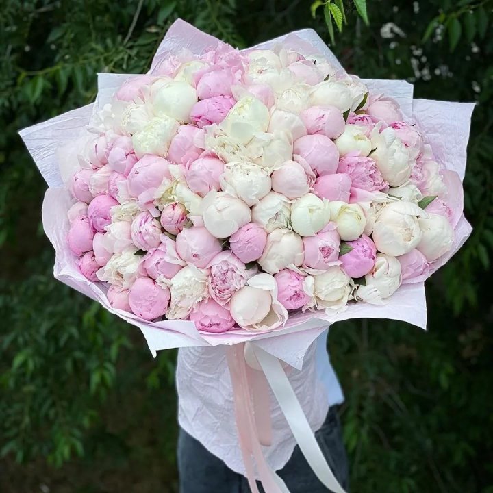 101 пион в Новороссийске