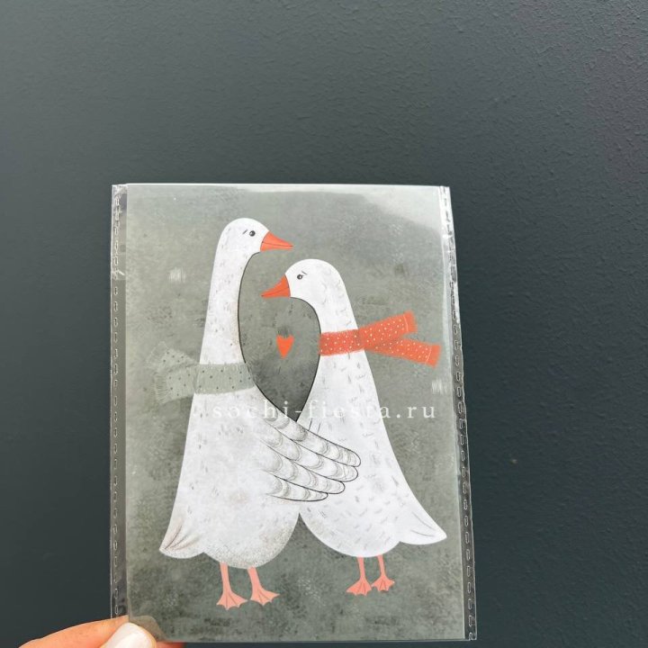 Открытка к букету "Гуси” в Новороссийске