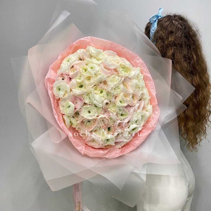 113 ранункулюсов  в Новороссийске