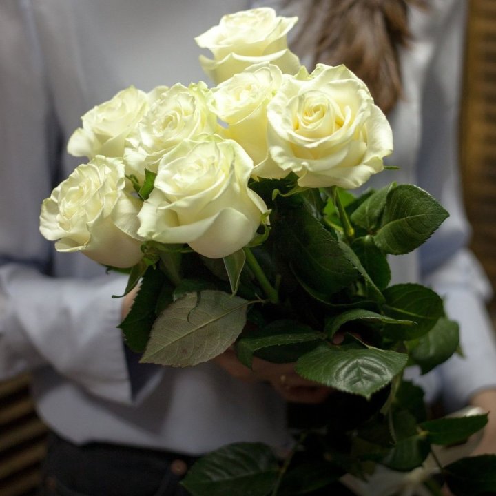 7 белых роз в Новороссийске