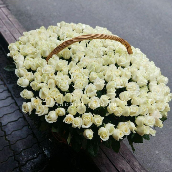 303 розы в корзине в Новороссийске