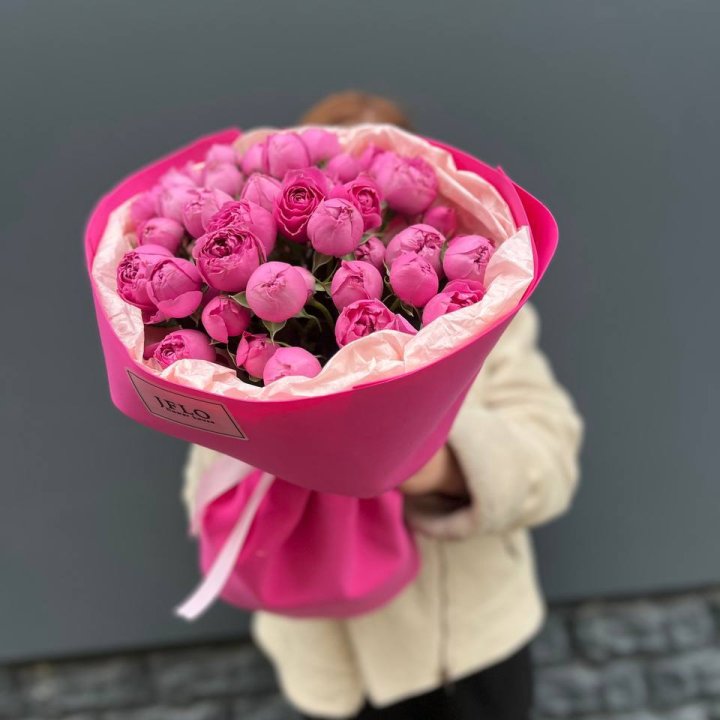 11 мисти баблс в Новороссийске