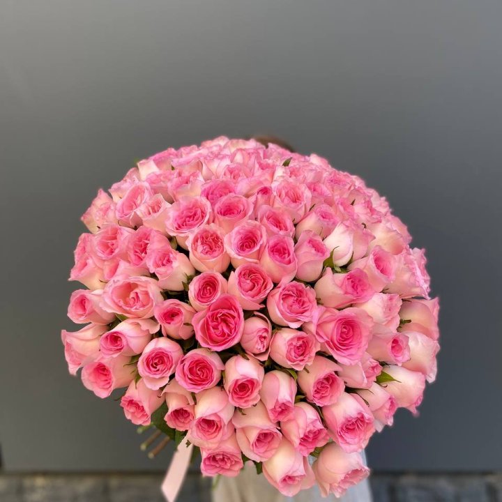 101 розовая роза в Новороссийске