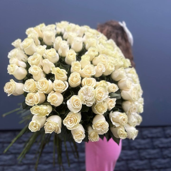 101 белая высокая импортная роза под ленту в Новороссийске