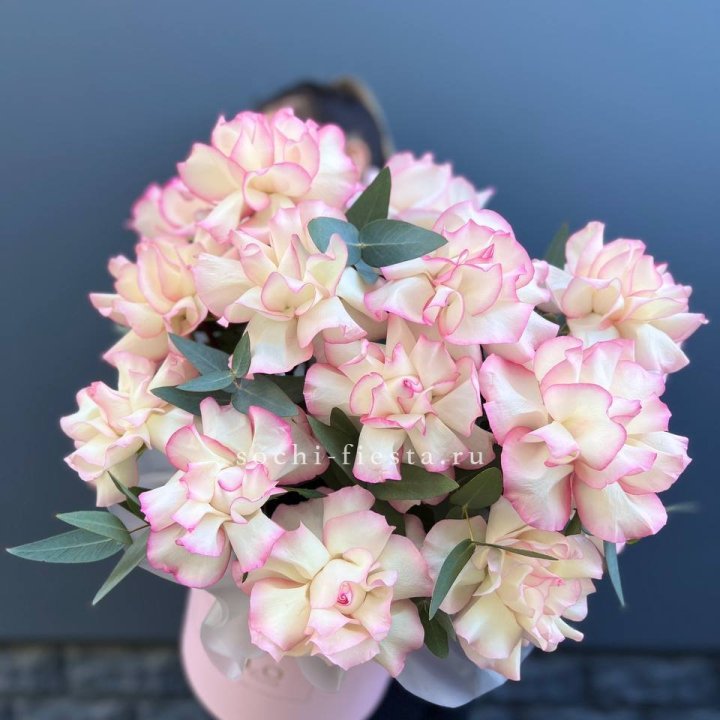 15 Французских роз Джумилия в боксе в Новороссийске