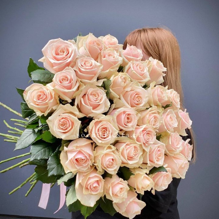 35 кремовых высоких роз в Новороссийске