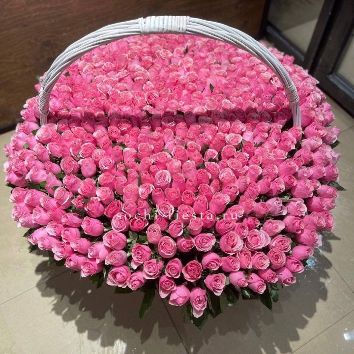 501 розовая роза в Новороссийске