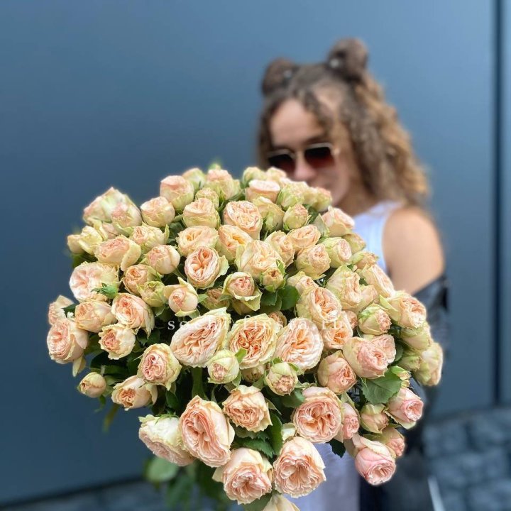 25 пионовидных роз в Новороссийске