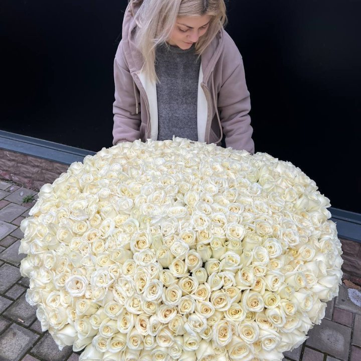 501 белая роза в корзине в Новороссийске