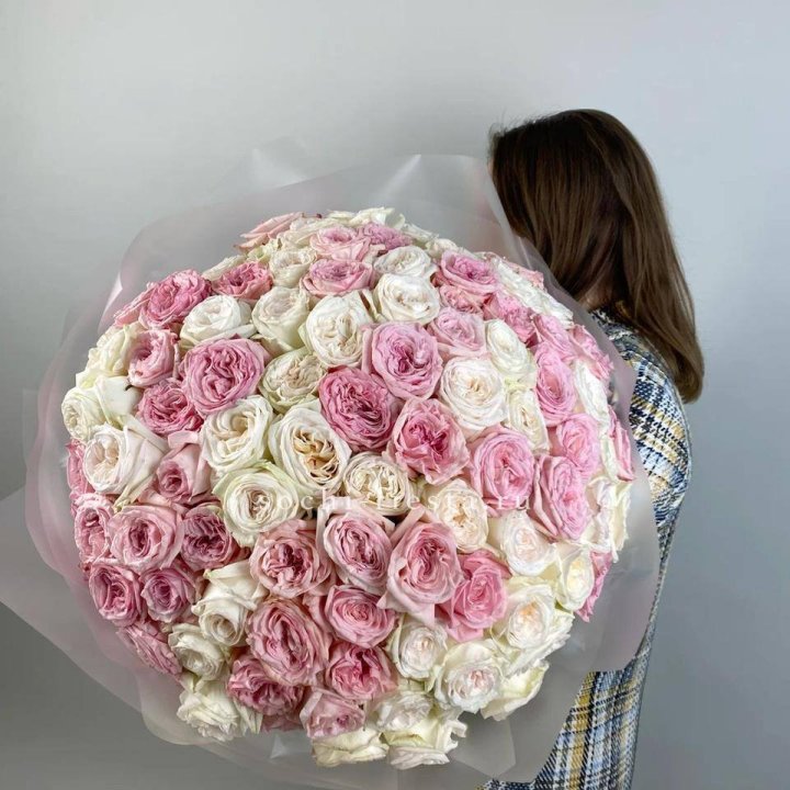 101 роз Охара в Новороссийске