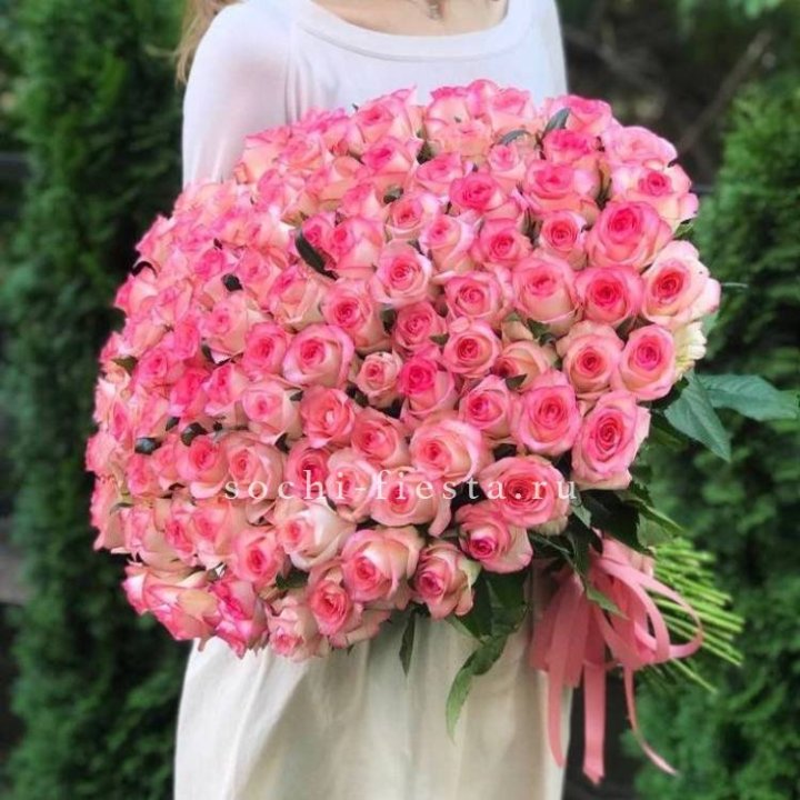 101  джумилия роза  в Новороссийске