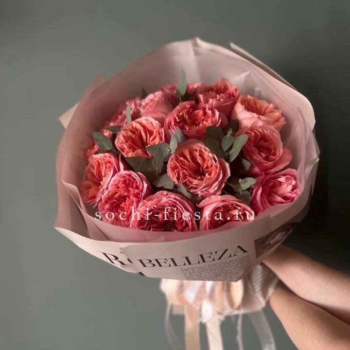 15 Пинк экспрешен в Новороссийске