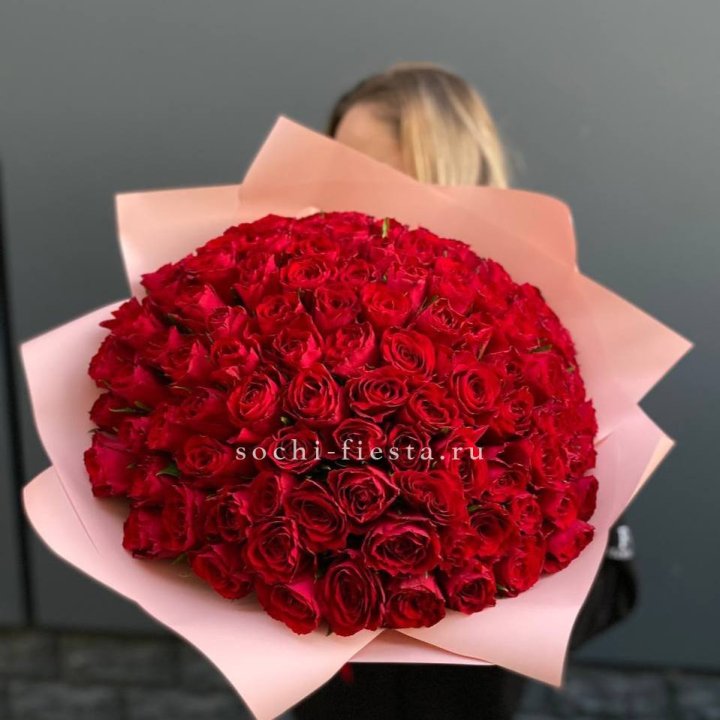 101 роза мадам ред в Новороссийске