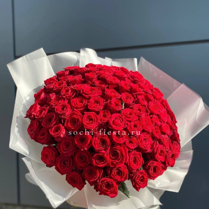 101 высокая роза в Новороссийске