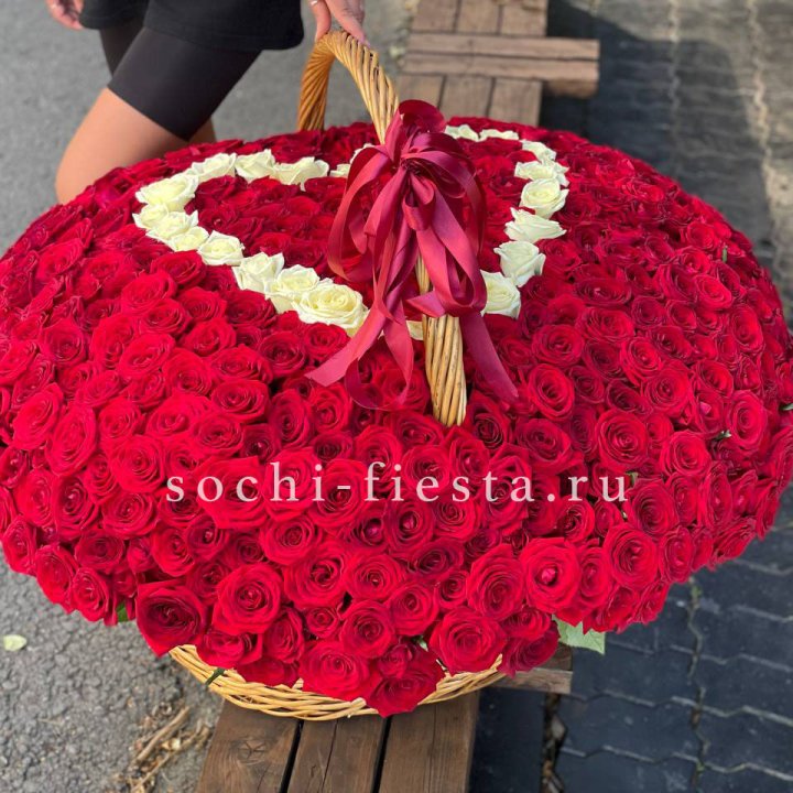 505 роз в Новороссийске