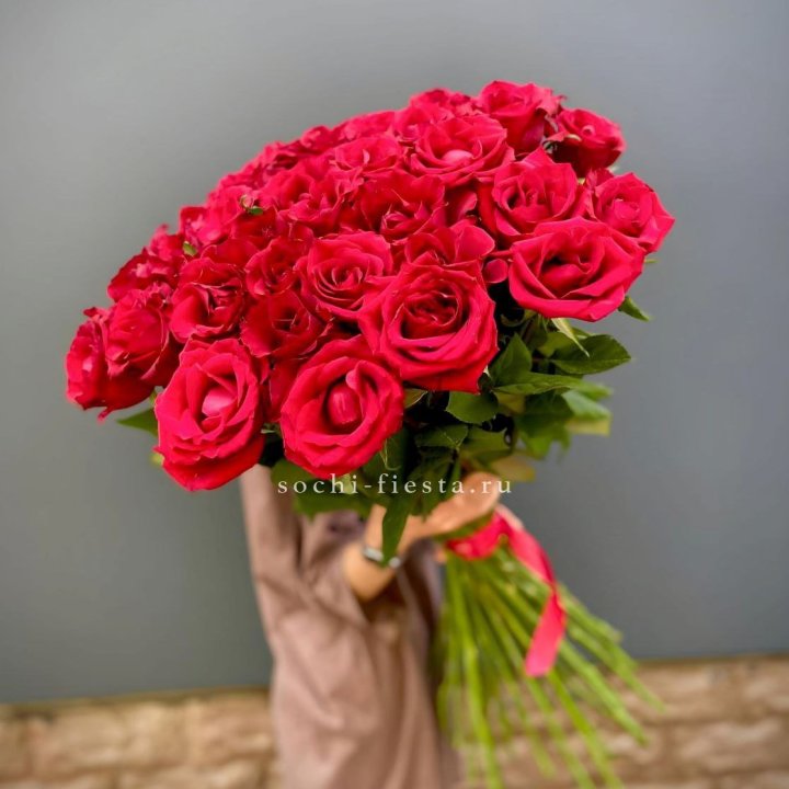 51 высокая красная роза в Новороссийске