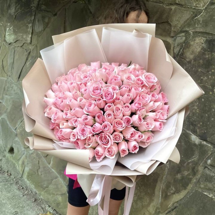 101 нежно-розовая роза Каролина  в Новороссийске