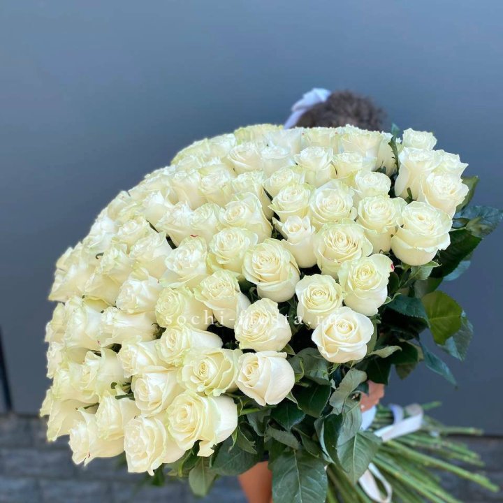 101 белая высокая роза в Новороссийске