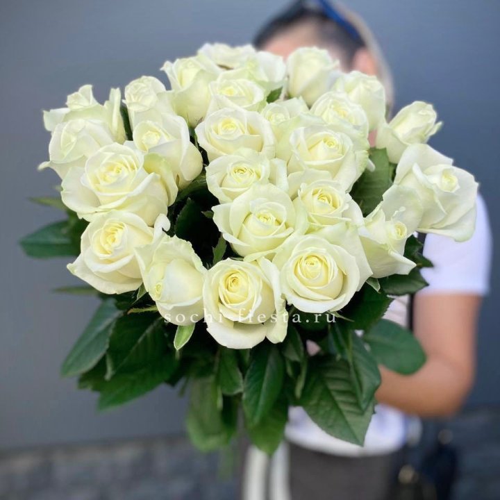 Голландские розы белые 25 в Новороссийске