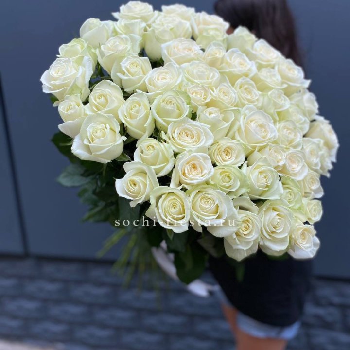 51 белоснежная высокая роза в Новороссийске