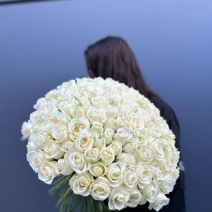 Охапка из 101 белой розы  в Новороссийске