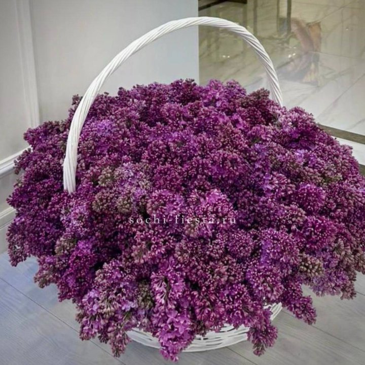 Корзина сирени в Новороссийске