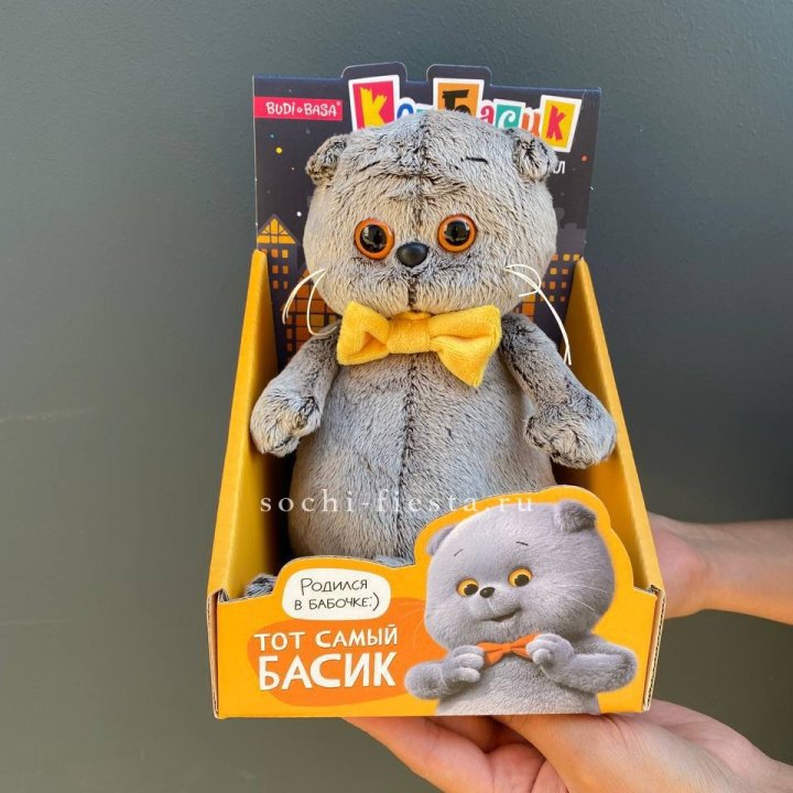 Кот Басик с бабочкой в Новороссийске