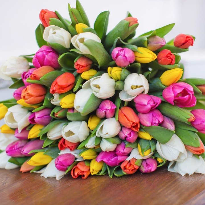 79 тюльпанов "Рандом" в Новороссийске