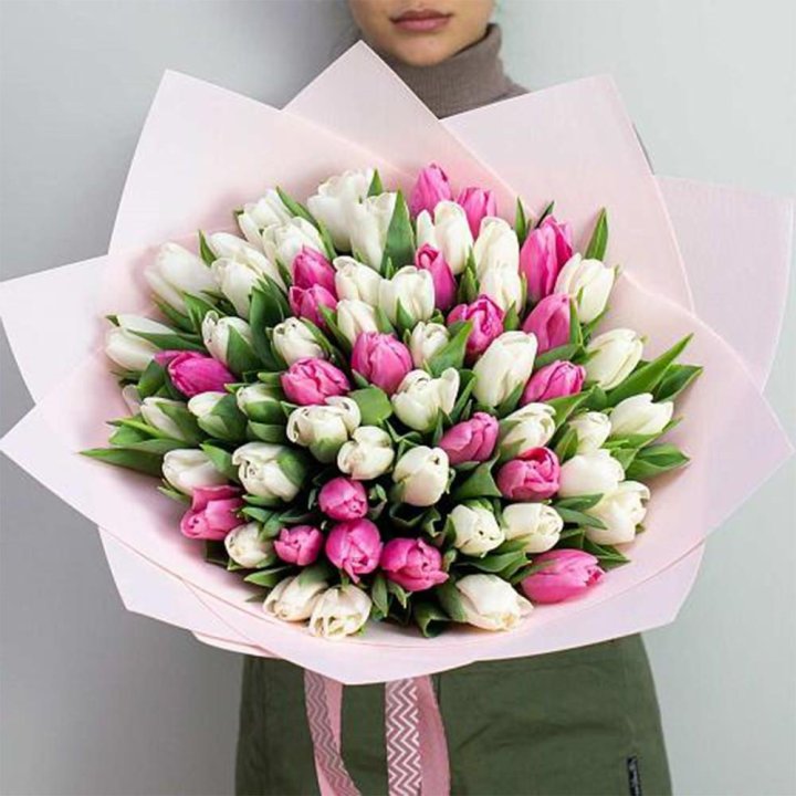 61 бело-розовый тюльпан в Новороссийске