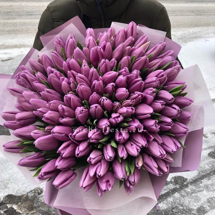 101 сиреневый тюльпан в Новороссийске