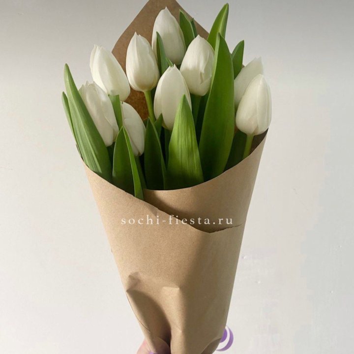 Букет белых тюльпанов в Новороссийске