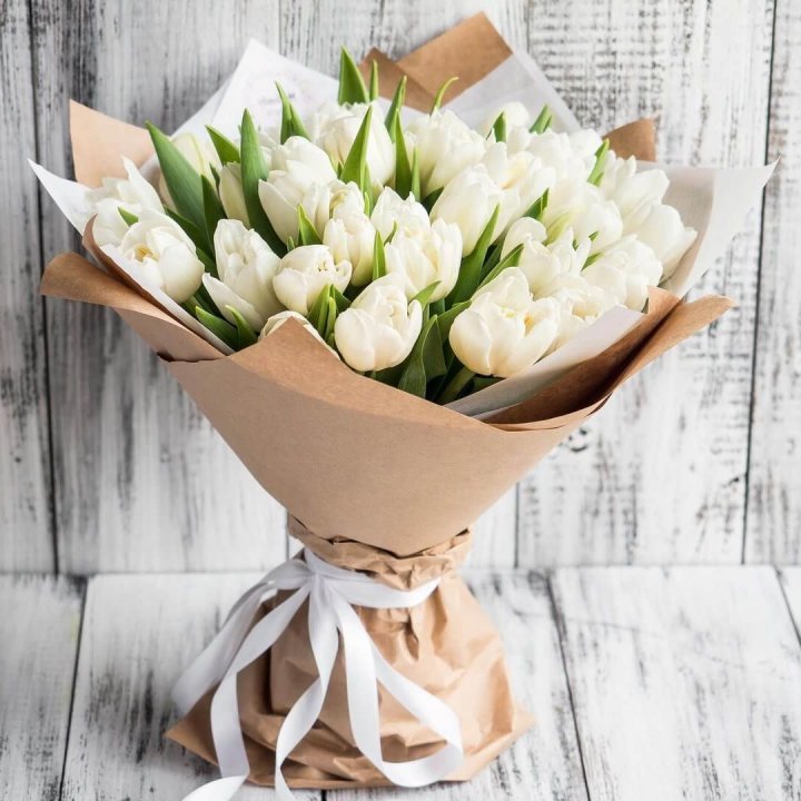 25 белых тюльпанов в Новороссийске