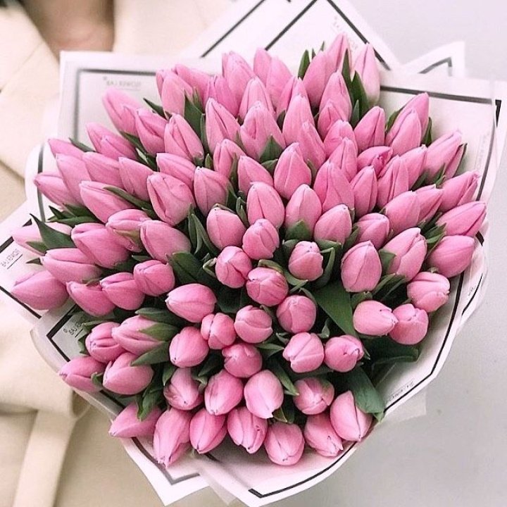 101 розовый тюльпан в белом в Новороссийске