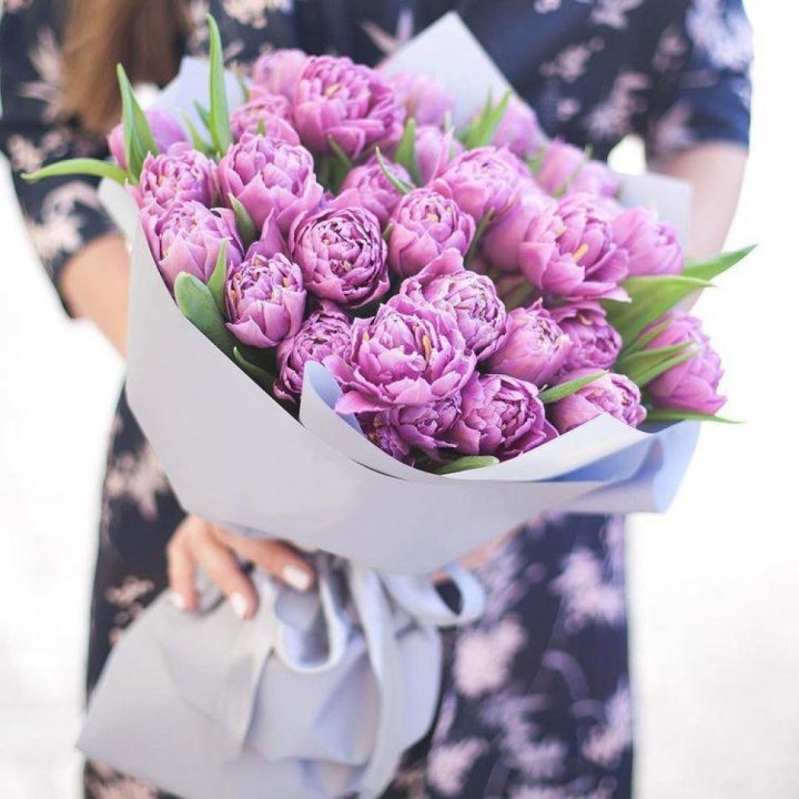 Тюльпаны "Пионс" в Новороссийске