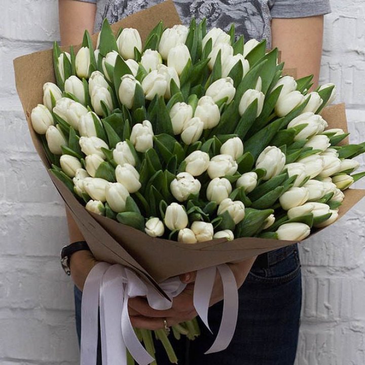 101 тюльпан сноу в Новороссийске