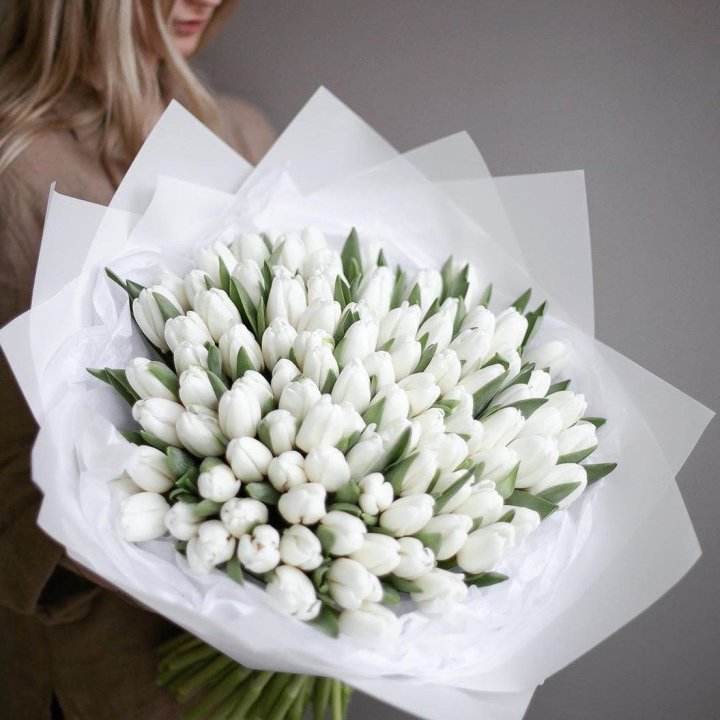 101 белый тюльпан в Новороссийске