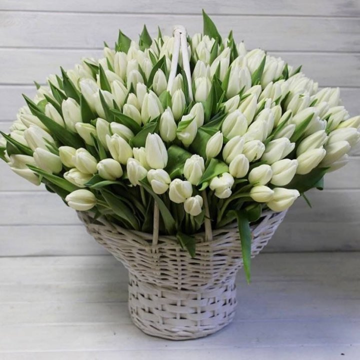 Корзина из 151 тюльпана в Новороссийске