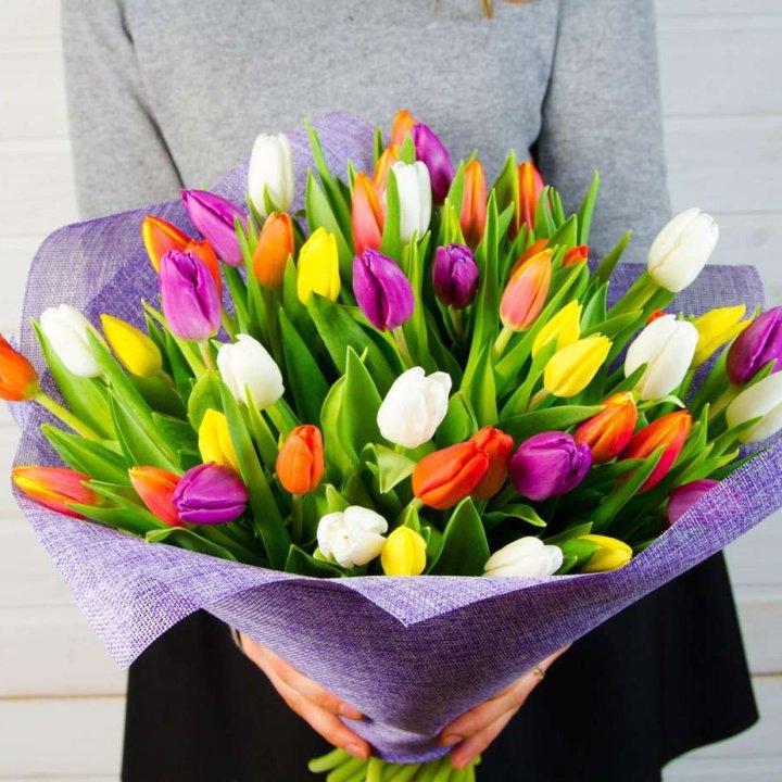 51 тюльпан "Рандом" №2 в Новороссийске