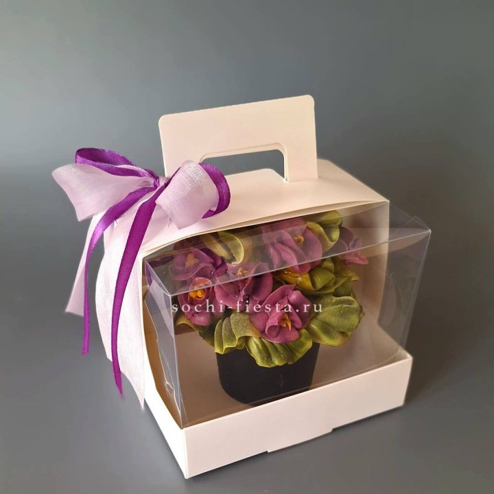  Зефир "Фиалка" в Новороссийске